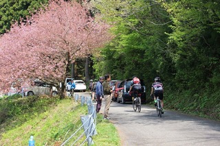 IMG_5132.jpg