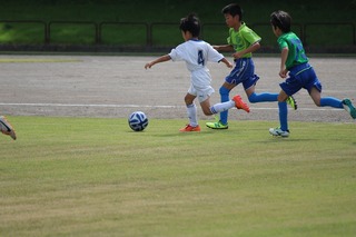 IMG_6578.jpg