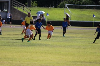 IMG_6692.jpg